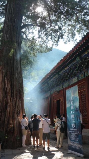 舌尖上的山西·應縣篇：木塔下的鄉愁與美食之旅