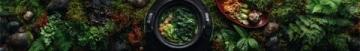 鄉(xiāng)野春日美食探索:傳統(tǒng)與自然的美味交響曲