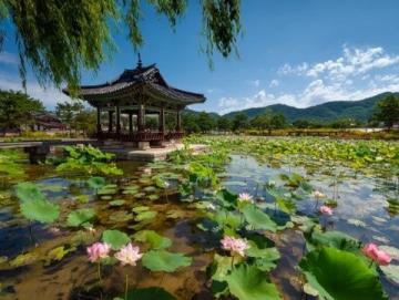 五一假期保定周邊游:探索直隸總督署與古蓮花池之外的美景