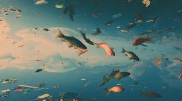 阜陽河道刀魚泛濫村民狂撈背后是生態(tài)改善信號?