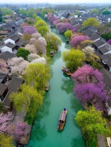 心馳神往！廣西橫州茉莉花之旅不容錯(cuò)過