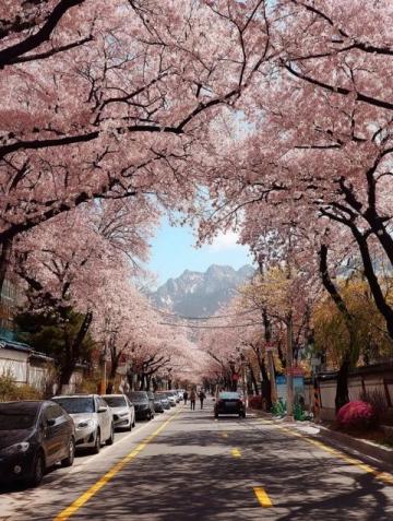 2025年必去的五大春季旅行勝地,跟隨榜單開(kāi)啟新體驗(yàn)