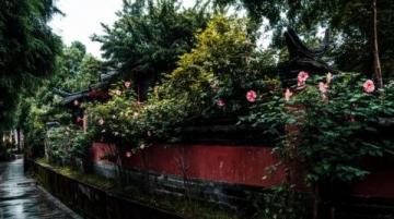 澳門(mén)大三巴牌坊前人氣手信推薦與試吃攻略