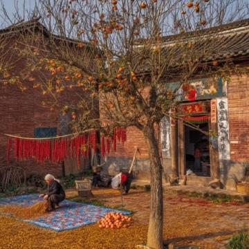 周口農村：春節前軍叔跟風種蘑菇村民：他們家常年的生意