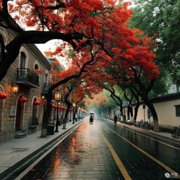 上海周末游橫店攻略：深度探訪廣州街與香港街景區體驗