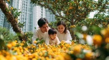 實況記錄云端花園的春日盛景：杜鵑花海、親子活動與自然之美