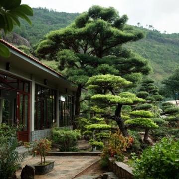 到高密城郊雙羊鎮云來山莊，品農家樂的野味盛宴