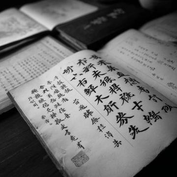 中國(guó)書(shū)法的不同字體與草書(shū)的特點(diǎn)