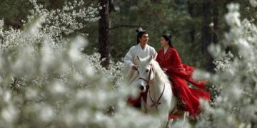 西湖C位梅花季：孤山探梅之旅（2.22-3.5）
