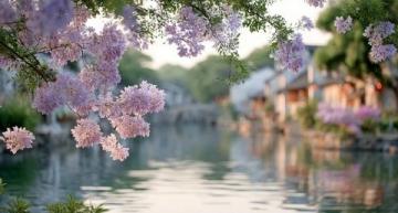 2025廣州踏春指南:十大美景邂逅浪漫花海