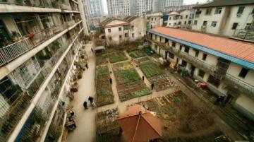 自貢國(guó)企新建農(nóng)貿(mào)市場(chǎng)緩解南湖中區(qū)居民購(gòu)物難題