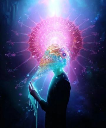 震驚！七大逆天冷知識揭秘，末一條令人瞠目結(jié)舌！