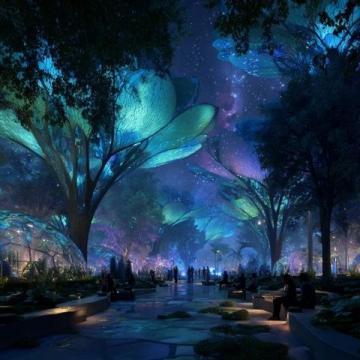 南昌首個(gè)文旅觀光夜市"楓林夜間集市"將于2025年開業(yè)