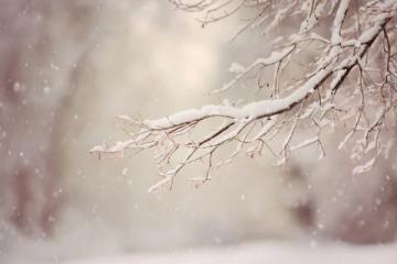朋友圈各地飄雪，溫暖冬日期待一場大雪紛飛；在寧靜中迎接新年，祈愿生活更美好