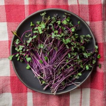 春天的味道與營養(yǎng)：四種適合孩子的春芽美食