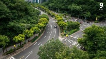 上海楊浦大學路:高校云集的學問之地