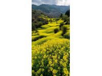 求分享！你有沒有拍過袁家村的隨手風景照？