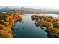 五一自駕游山東東平湖環湖賞美景