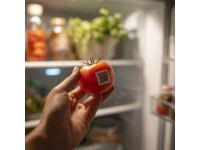 十大食品安全小常識,字數在10到40個字之間。