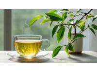 普及一下茶葉小知識