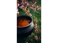 家常海帶豬蹄湯，滋補養生兩不誤