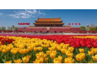 五一青島周邊游：濰坊諸城一日游體驗分享