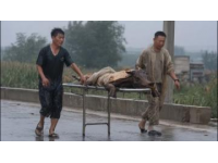 當(dāng)年民國鎮(zhèn)上死了七個百姓，死者面青指蜷，繡花鞋旁遺著半只鞋子，縣里派來的巡警被逼退，局長一刀刺穿了案子。