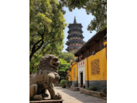 青州古城探秘：大槐樹煎包美味之旅