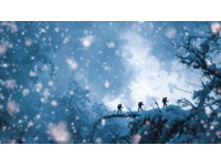 金佛山耍雪攻略：兩天一夜玩樂指南來襲！