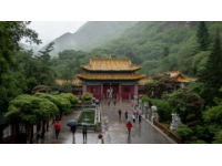九寨溝一日游：奇幻探險(xiǎn)之旅，開(kāi)啟你的山水童話之旅