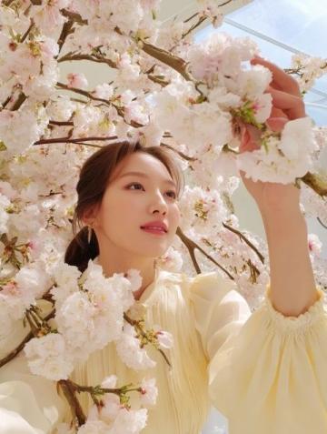天津清明賞花哪里好?這份海棠花觀賞指南請收好!