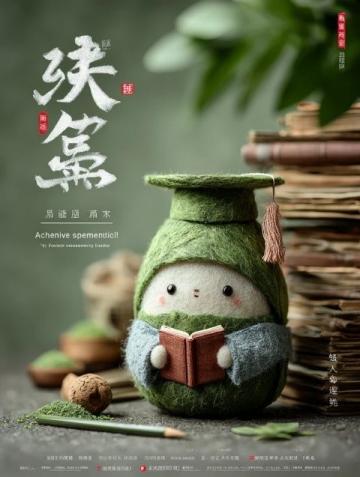 小雪已至，學會這道白菜福袋迎接冬季佳節運勢滿滿