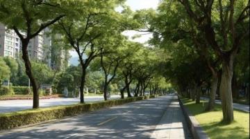 河北邯鄲聯紡路：見證工業歷史的變遷與現代生活融合的主干道