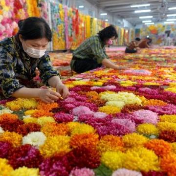 春節途經雞街收費站：對紅河人而言，這里充滿回憶與鄉愁