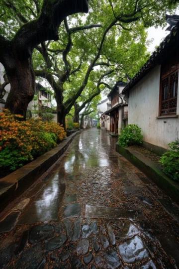 時雨紛紛,清明時節(jié)雨紛紛