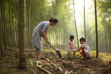 大慶蘭德學校劉禹貝(大慶蘭德學校學生植樹)