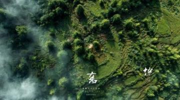 回家路上的思考與感受，南陽到杭州那一趟！