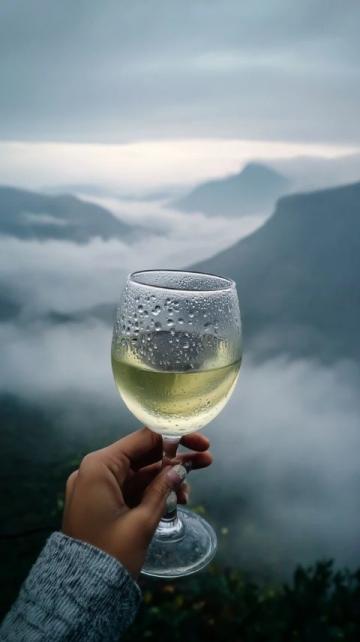 香港的酒文化有什么特色？