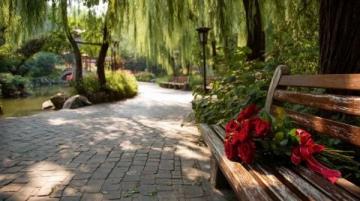 蘇州東沙湖公園:春風中綻放的花季盛宴
