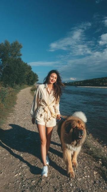 金色陽光下的相遇:我和星鳩漫步二沙島