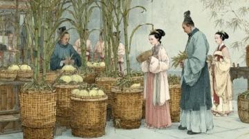 紅樓夢中的姑蘇風韻：曹雪芹筆下的蘇州描繪及特色物產(chǎn)