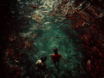 揭秘威海隱藏趕海地，豐富海洋生物等你探索！#威海旅游攻略# #海邊趕海體驗#