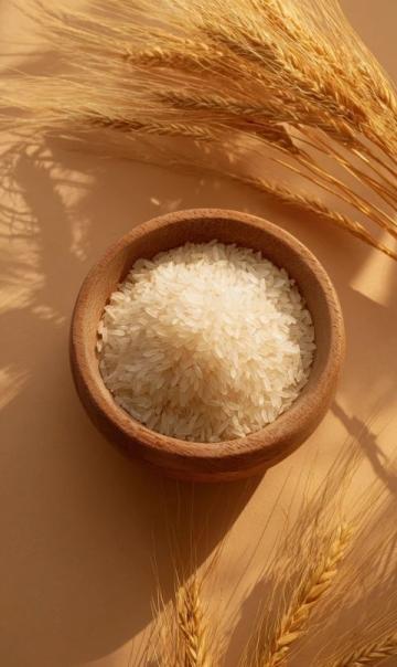 懶人福音！兩分鐘學會兩款美味燜飯，營養滿分省時省力