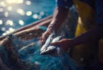 解析夜釣與白天垂釣的優劣對比：魚類習性、環境因素、季節影響全面分析