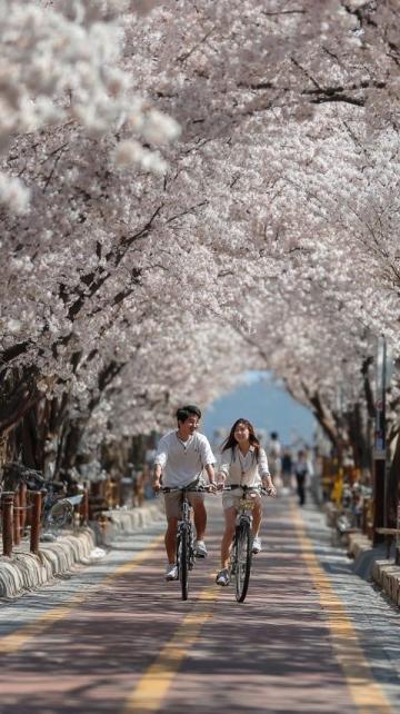 2025年必去的五大春季旅行勝地,跟隨榜單開(kāi)啟新體驗(yàn)