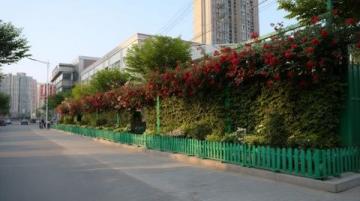 上海虹口區(qū)熱門拍品！緊鄰四川北路公園學(xué)區(qū)房優(yōu)質(zhì)住宅