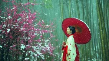 鞍山千山梨花節(jié):非遺與美食盛宴,領略地域風情