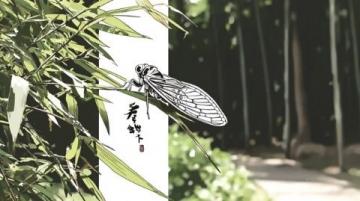 鄉(xiāng)村夏夜捕蟬記：舌尖美味與童年回憶