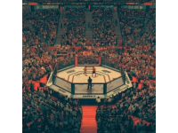 「那些年在UFC呼風喚雨的巴西幫，在UFC中是怎樣一股可怕的勢力？巴西幫