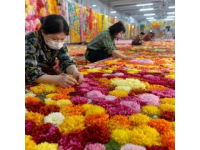 春節途經雞街收費站：對紅河人而言，這里充滿回憶與鄉愁